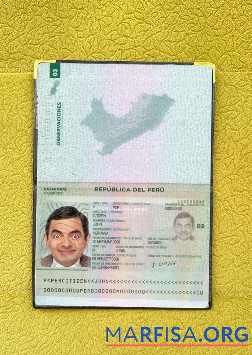 Printable Peru pass photo look download for verification